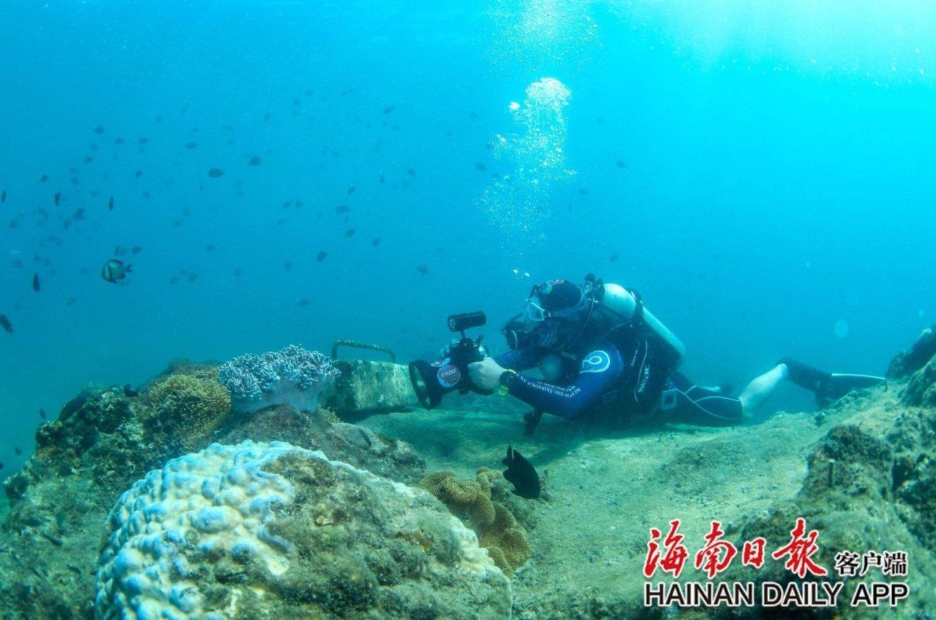北京市区，埋葬着一名18岁河南少年，任凭城市发展，墓地不曾迁移